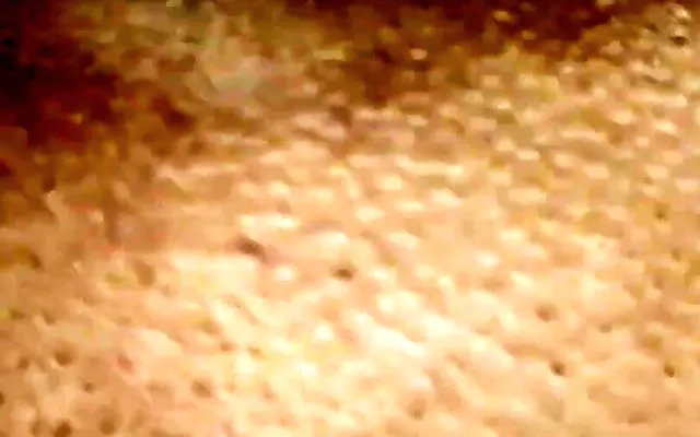 Hot Indian Desi step Brother in law and Sister in law Hot Sex